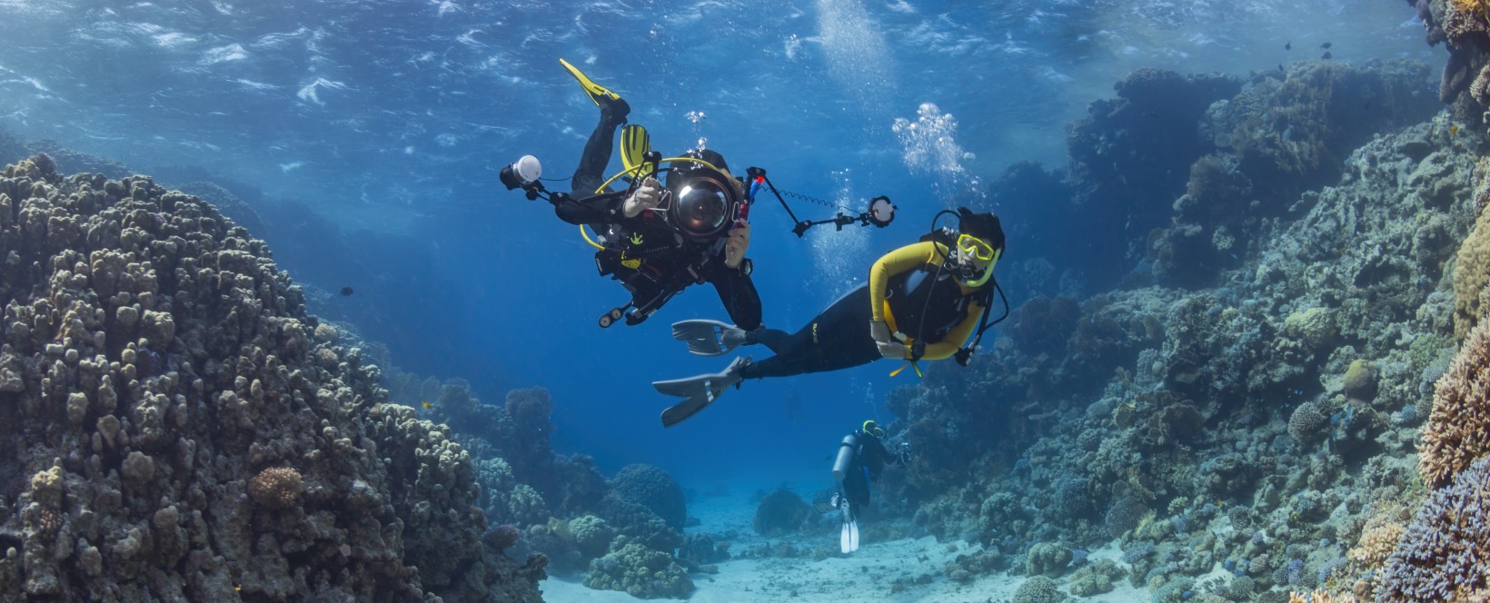 Buceo en La isla Jeju, Corea del sur