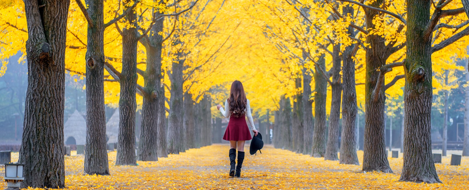 isla nami, corea del sur en otoño, vacaciones