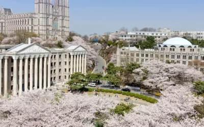 Estudiar en Corea del Sur: Todo lo que necesitas saber